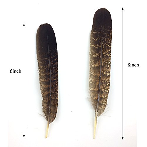 JPSOR 12 Stück Natürliche naturfarben Adler Feder, 6-8 Inch, für Kunstwerk Dekoration - 2