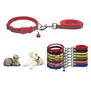 Petlicious & More Reflective Safety Nylon Pets 3/8