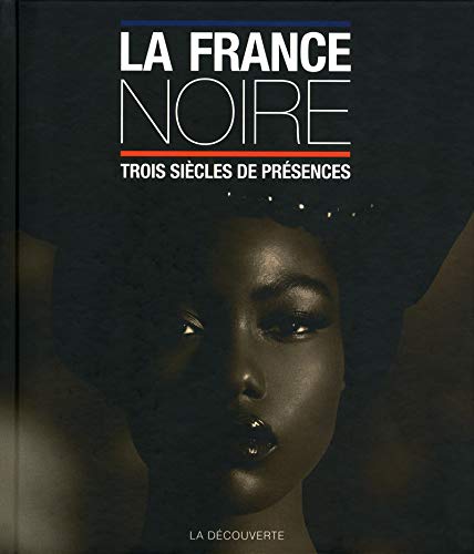 Télécharger La France noire PDF