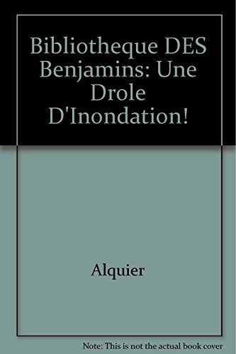 couverture de : Une drole d'inondation