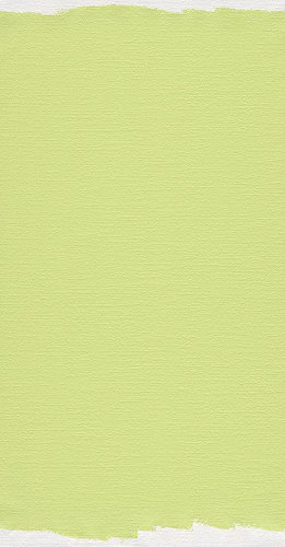 A.S. Création Vliestapete Meistervlies Pro Protect 2, mehrfach überstreichbar, rissüberbrückend, formstabil, glasfaserfrei, weiß, 103918 - 4