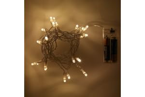 eBuzz Battery Operated Fairy Lights with 20 Warm White LEDs (Warm White)