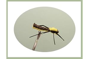 TROUTFLIES UK LTD Grasshopper Angeln Fliegen, 6 Pack Schaumstoff, Auswahl von Größen für Fliegenfischen