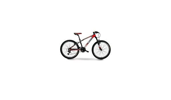 BICICLETTA MTB 24\