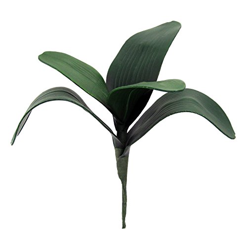 Kunstblume Orchideenlaub, Orchideenblätter (1 x 5 BLATT)