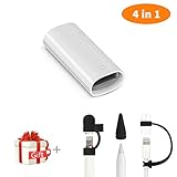 Tipo de conector: proporciona una conexión alternativa mediante un conector hembra con lápiz Apple y otro conector hembra con cualquier cable que tengas, a continuación, tu iPad Pro puede ser para otras tareas.
