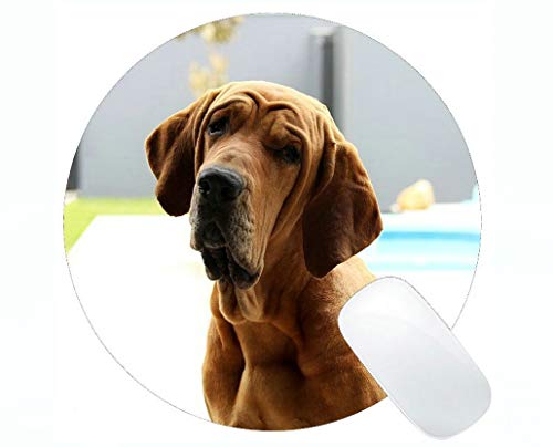 Preisvergleich Produktbild Runde Mauspads, Haustier Hund Tier Canine Gaming Mauspad