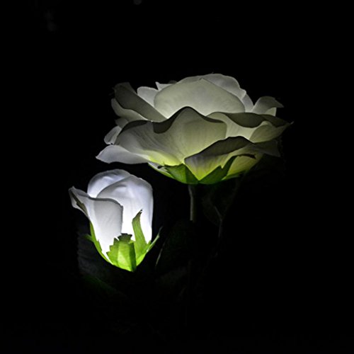sunnymi 2 Kopf Sun Rose Licht/Solar LED Dekorative Outdoor Rasen Lampe/Gute Qualität/Automatisch Aufleuchten/ABS + Edelstahl (weiß)