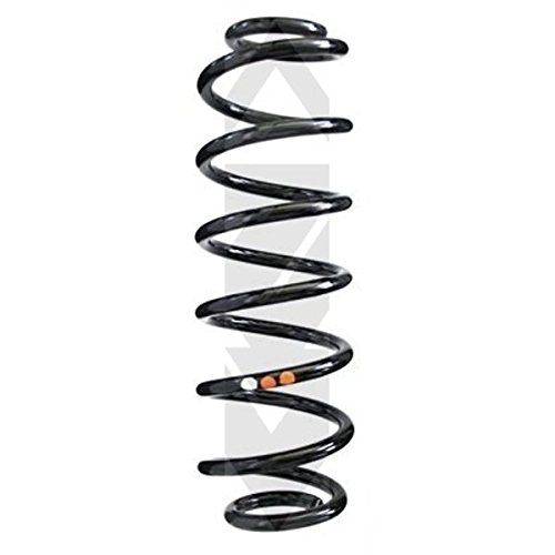 Preisvergleich Produktbild SPIDAN 86455 Fahrwerksfeder