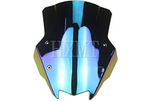 HXMT Pare-brise pour moto Kawasaki Ninja 1000SX Z1000SX Z 1000SX 2020-2021 (iridium)