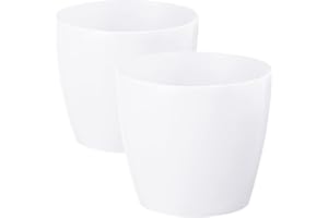 PECZEKO Macetas Brillantes Macetas Decorativas Hierbas Macetas Redondas de plástico duraderas y Ligeras para salón, Comedor, Cocina, terraza, balcón Juego de 2 Piezas (Blanco, diámetro 25 cm)