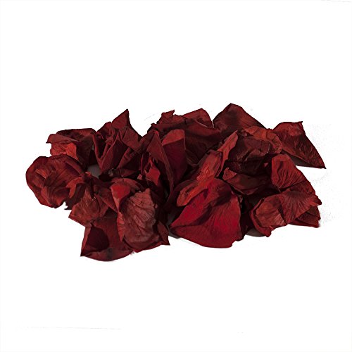 ECHTE ROSENBLÄTTER, ROT, 2er-Set je 15g – Tolle Deko für die Hochzeitszeremonie oder als Tischdeko - 2