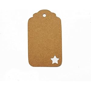 Geschenkanhänger Papieranhänger Tags Etiketten Weihnachten Stern