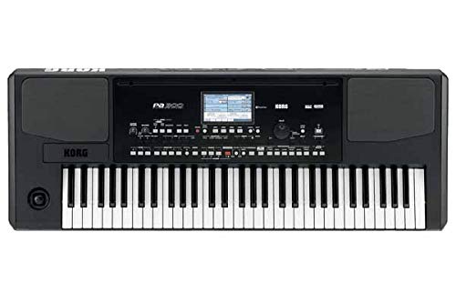 Korg Pa300