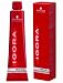 Schwarzkopf Igora Royal Cendre 7-1 - Medium Blonde Cendre Hair Colour / Tint ... by Re RS.3017.00