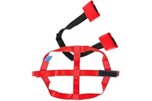 Oldbones Universal Motorcycle Rear & Front Wheel Transport Tie Down Strap Red