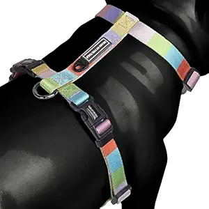 Heads Up For Tails Nylon Chase The Rainbow Dog H Harness - L: 29.1-47.2