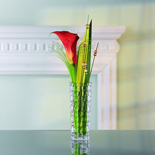 Spiegelau & Nachtmann, Vase, Kristallglas, 28 cm, 0080727-0, Bossa Nova - 4