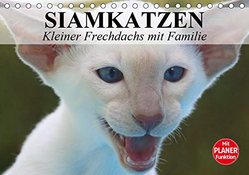 Siamkatzen - Kleiner Frechdachs mit Familie (Tischkalender 2020 DIN A5 quer)
