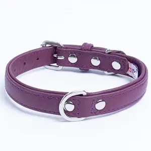 Leather Dog Collar, Padded, Double Ply, 18