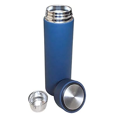Dwi's Bouteille d'eau Isotherme 450ml à Infusion thé Etanche en Acier Inoxydable Reutilisable | Gourde Enfant, Sport, extérieur, Café, école, Voyage, Bureau, Randonnée |Mug infuseur sans BPA| Tasse Thermos