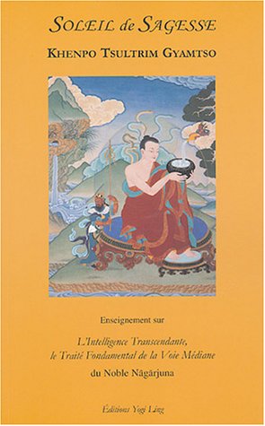 Télécharger Soleil de Sagesse : L'intelligence transcendante Livre eBook France