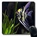 Produktbild Luancrop Mousepads Ruhige Engels-Fisch-Grün-Aquarium-atemberaubende Gebrauchs-Vielzweckwild lebende Tiere Angelfish-Natur-Tropische längliche Spiel-Mausunterlage rutschfeste Gummimatte