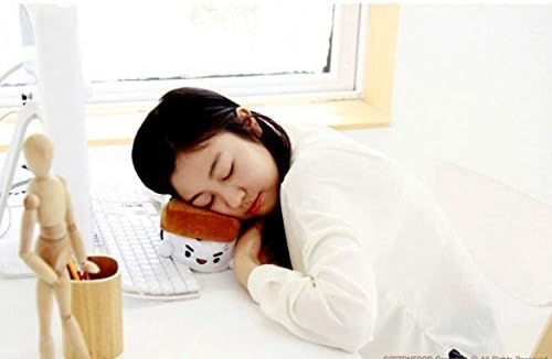 Japanese Food Sushi small Cushion Gift Plush Toy Decoration Pillow Hit Gift Toy ~Eel 6" by FOOD PLUSH