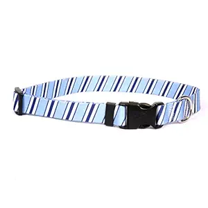 Yellow Dog Design Team Spirit Lt. Blue, Dark Blue and White Dog Collar-X-Small-3/8 and fits Neck 8 to 12