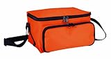 Color: naranja. Nevera portátil (asa, 23 x 14 x 21 cm, nylon), color naranja