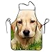 Produktbild KLYDH Cute Golden Retriever Puppy In Green Grass Home Kitchen Apron BBQ Kitchen Cooking Bib Apron for Women Men