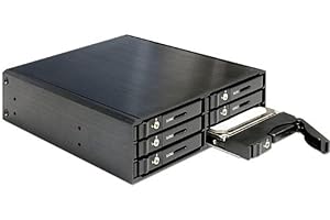 Delock Compatible 5.25" Mobile Rack for 6 x 2.5″ SATA HDD/SSD - Gehäuse für Speicherlaufwerke