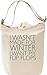 Produktbild I Wasn't Made For Winter I Want My Flip Flops Slogan Leinwand Tagestasche Canvas Day Bag| 100% Premium Cotton Canvas| DTG Printing|