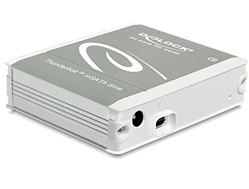 Delock 42509 Externes Gehäuse MSATA SSD zu Thunderbolt