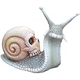 DODXIAOBEUL Skull Snail Garden Statues Halloween Skull Snail Sculpture Gothic Skull Decor Interesting Desktop Resin Craft Ornaments for Home Outdoor Office Decor,White