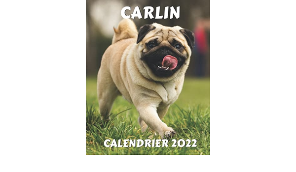 Calendrier Geo 2023 Calendrier Carlin 2022: Idée De Cadeau Pour Les Amoureux Des Carlins:  Amazon.co.uk: Calendrier, Bella Adeline: 9798473511017: Books