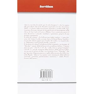 La bellezza tua voglio cantare. Omelie dell'Anno C