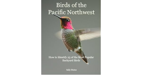 Birds Of The Pacific Northwest How To Identify 25 Of The Most