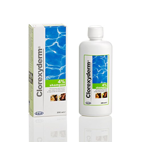 Clorexyderm-Sh-4-250Ml