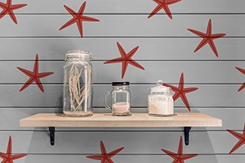 Star Fish Stencil. Home Decorating &amp; Craft Stencil. Painting Stencils for Walls Furniture &amp; Fabrics. (M/12X12CM)