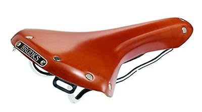 Brooks B15 Swallow Steel Selle Miel