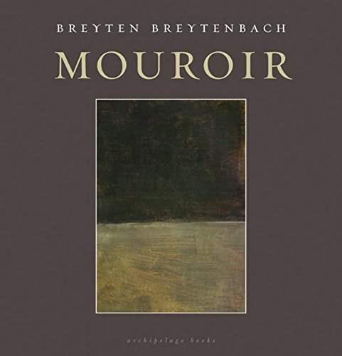 Mouroir: Mirrornotes of a Novel