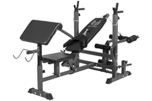 GYRONETICS® Panca Pesi Multifunzione - Portabilanciere, Schienale Regolabile, 165 x 139 x 128cm, Carico Max 280kg, Stazione a Dip, Butterfly, Panca Scott, Curl per Gambe - Palestra e Casa, Allenamento