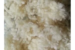 PEMMIPRODUCTS Bolas de lana virgen de 100% lana virgen de oveja, natural, 500 g (37 €/kg) finas, compostables, lavables, algodón, algodón, manualidades, adecuado como material de relleno para, por ejemplo,