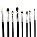 Sanwood 8x Eye Brushes Set Blend Eyeshadow Angled Smoked Makeup Brush