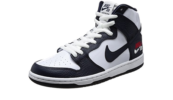 sb zoom dunk high pro