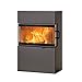 Produktbild AUSTROFLAMM Kaminofen Dexter 2.0 / Dexter S3, raumluftunabhängig (6 kW) 3-seitig verglast