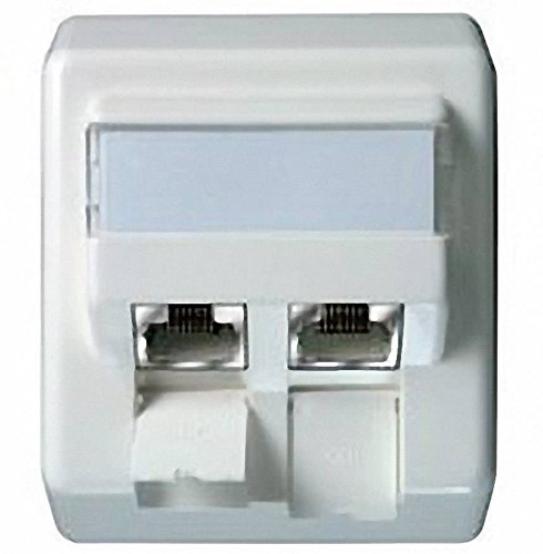 Price comparison product image Telegärtner Telegärt Netzwerkdose Aufputz Cat6a pearlwhite