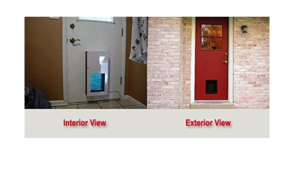 securing dog in boot