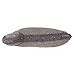 Cushion Bear Linen - Dark Grey